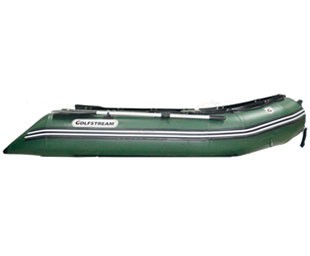 Моторная лодка Golfstream profesional CA 560